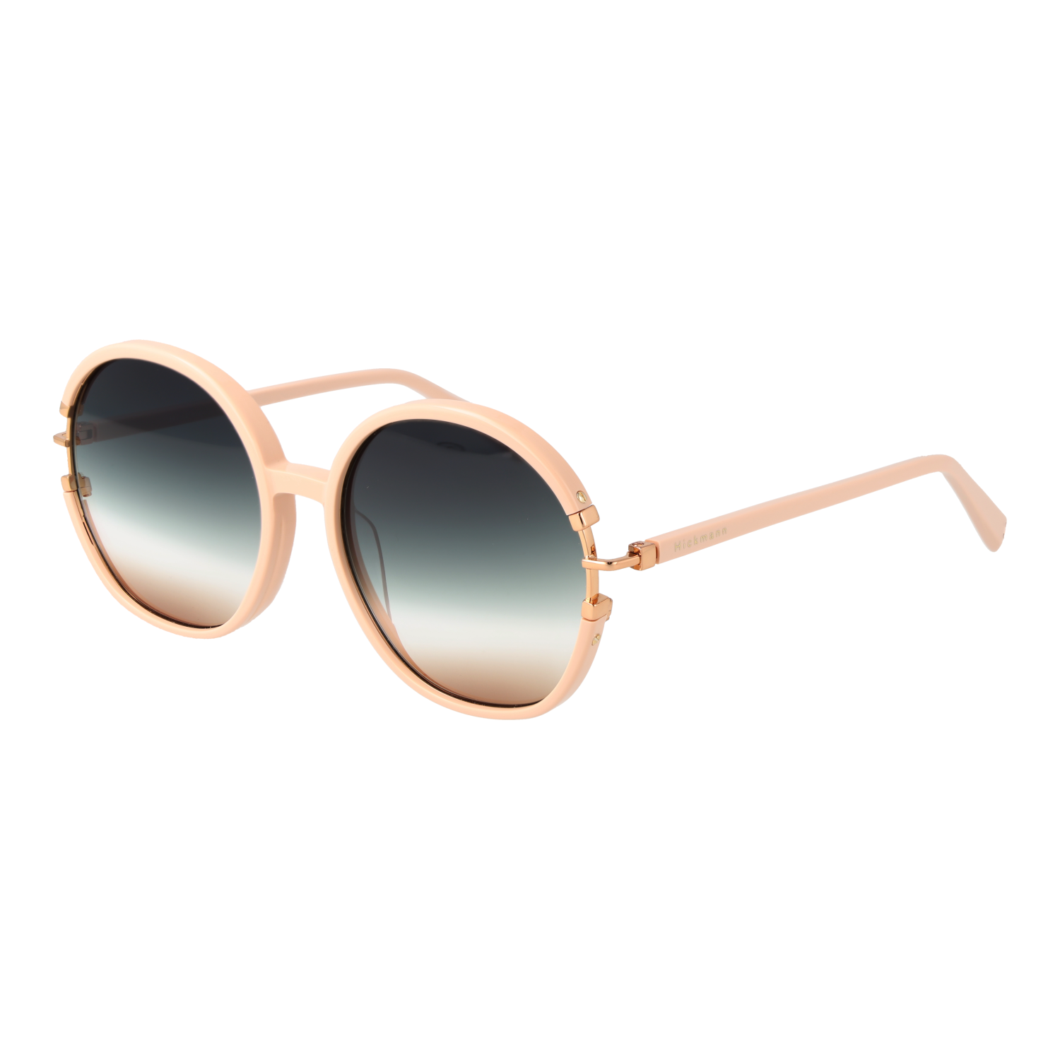Ana Hickmann Sunglasses HI9184 D01 60