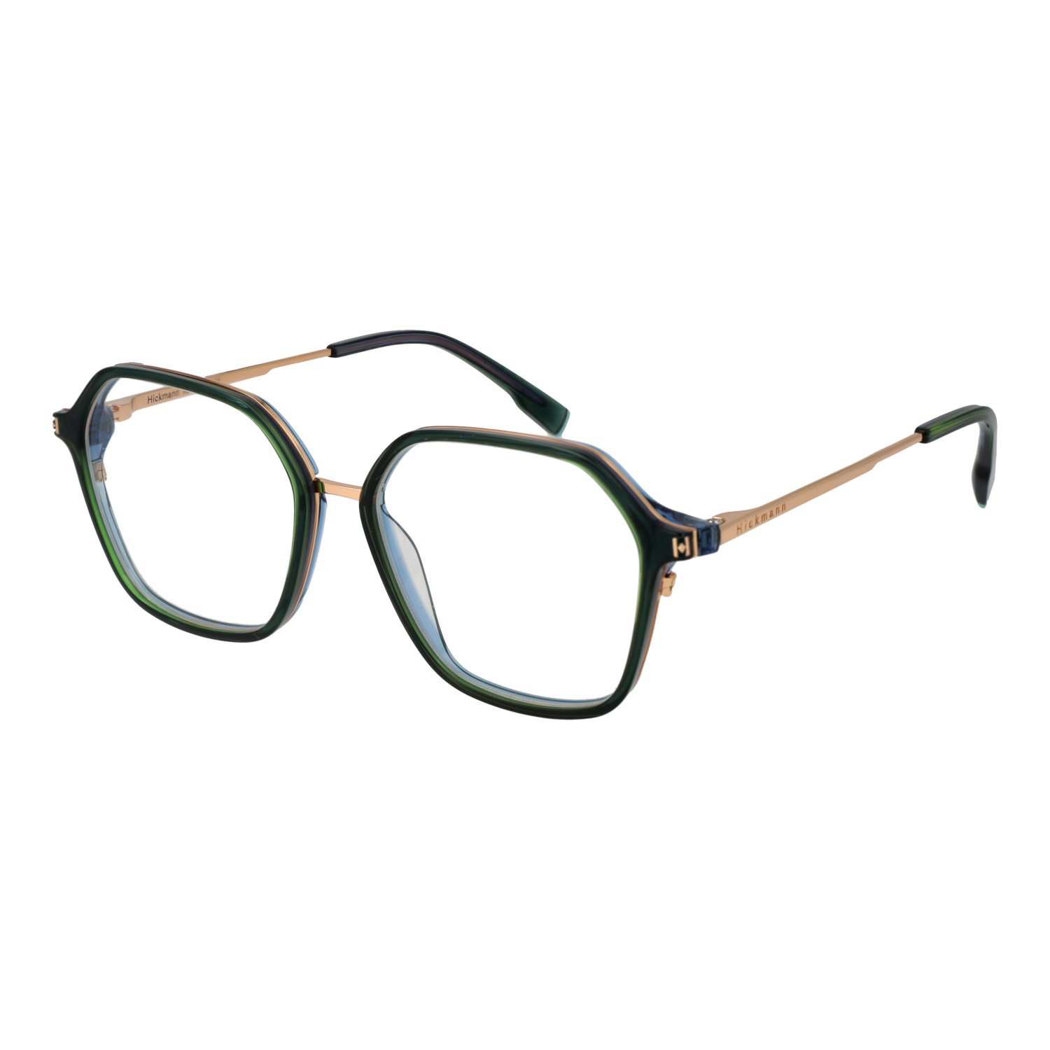 Ana Hickmann Optical Frame HI6254 T01 52