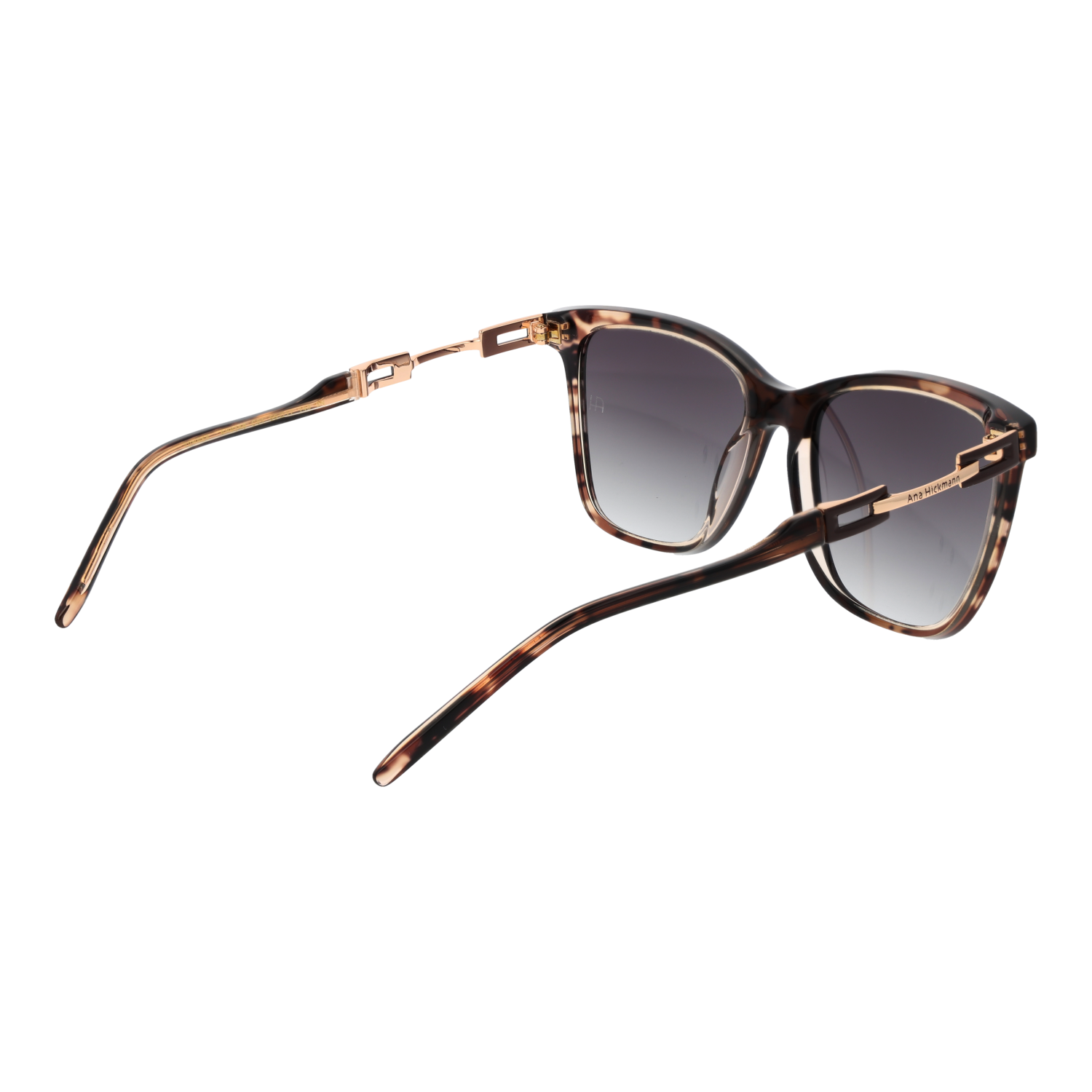 Ana Hickmann Sunglasses AH9348 C01 55