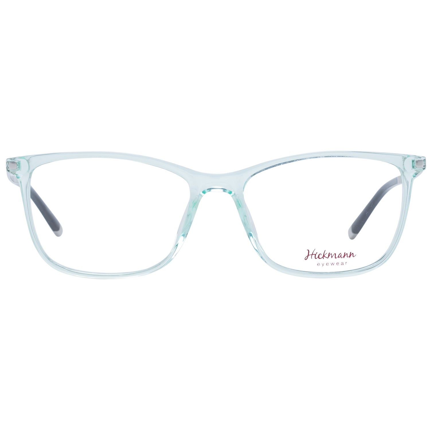 Ana Hickmann Optical Frame HI6070 T03 52