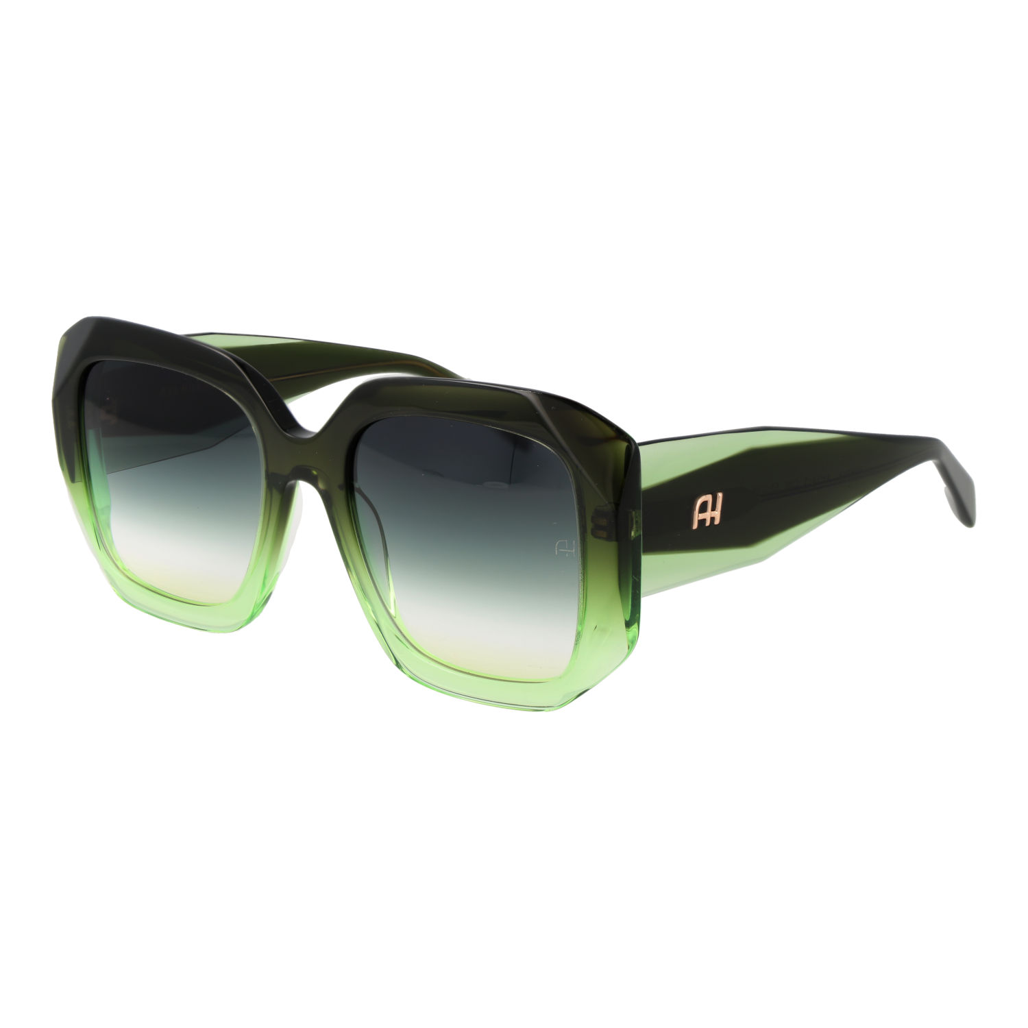 Ana Hickmann Sonnenbrille AH9413 C02 53