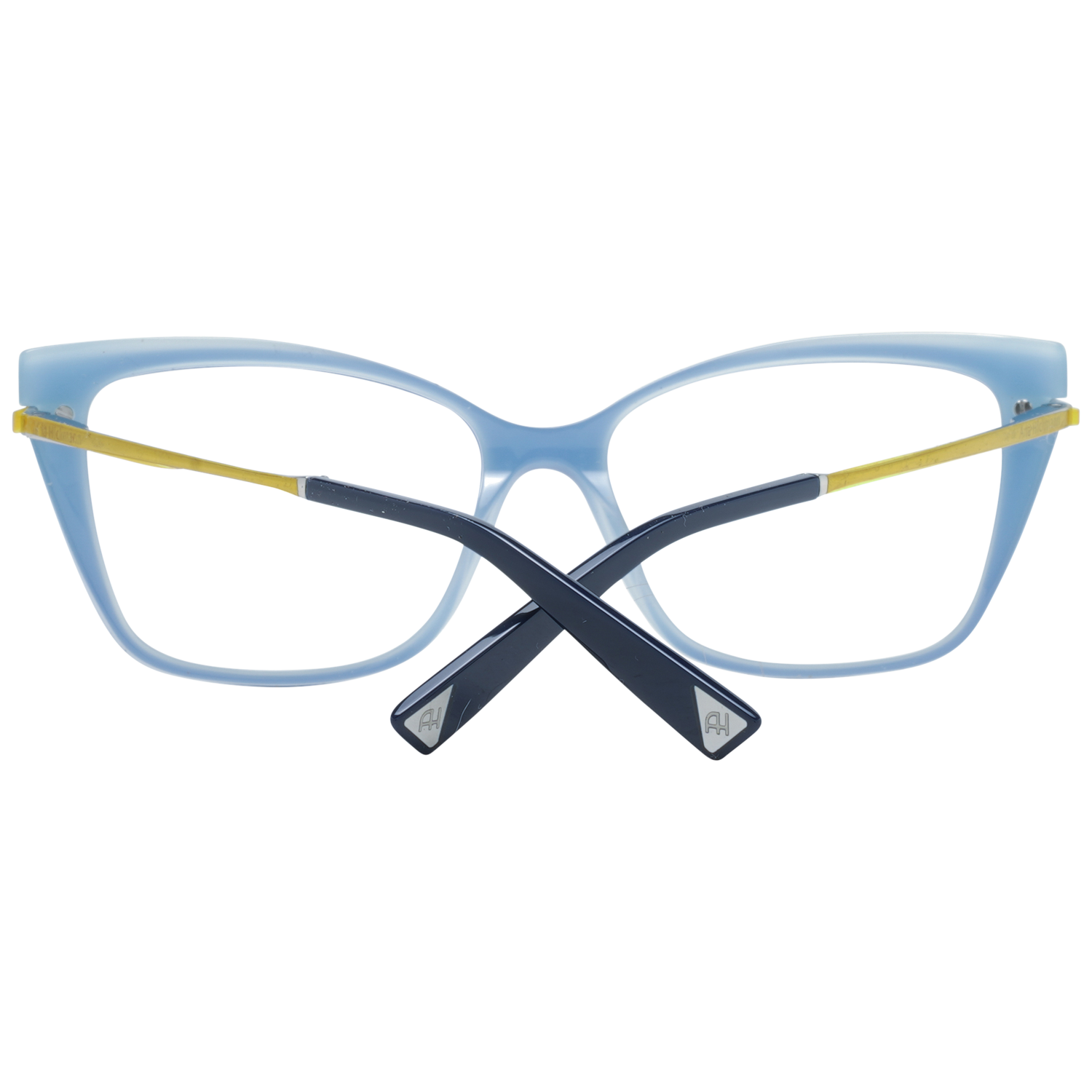 Ana Hickmann Brille AH6372 03S 55