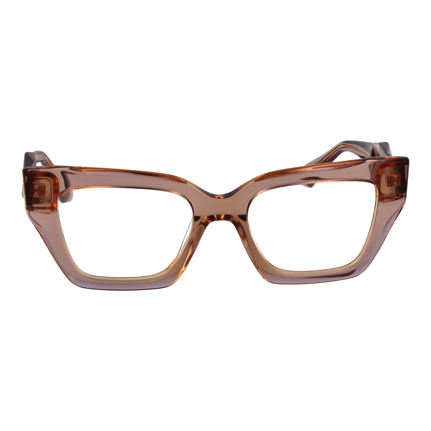 Ana Hickmann Optical Frame AH6524 H02 51
