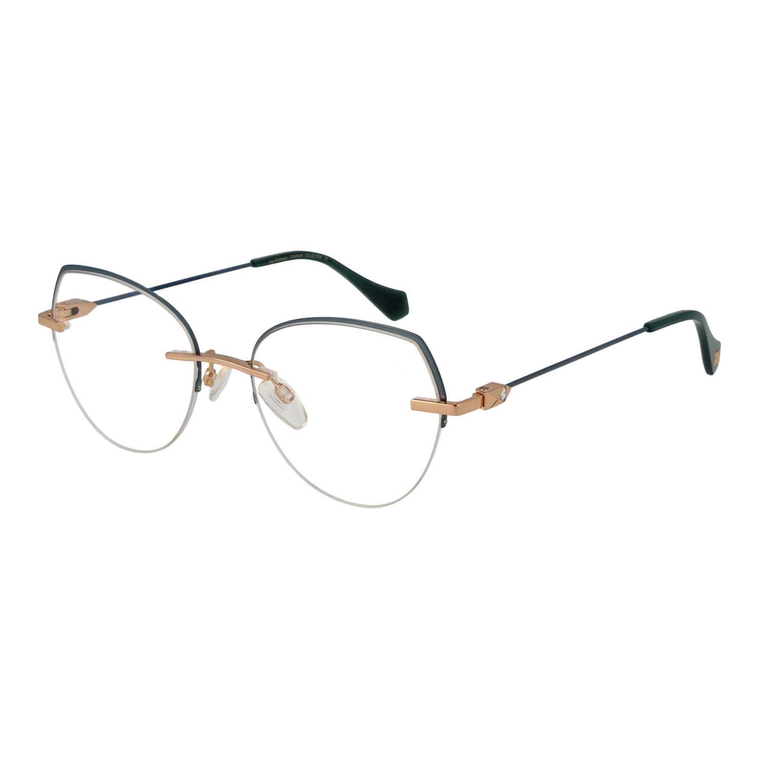 Ana Hickmann Optical Frame AH1491T 12A 54