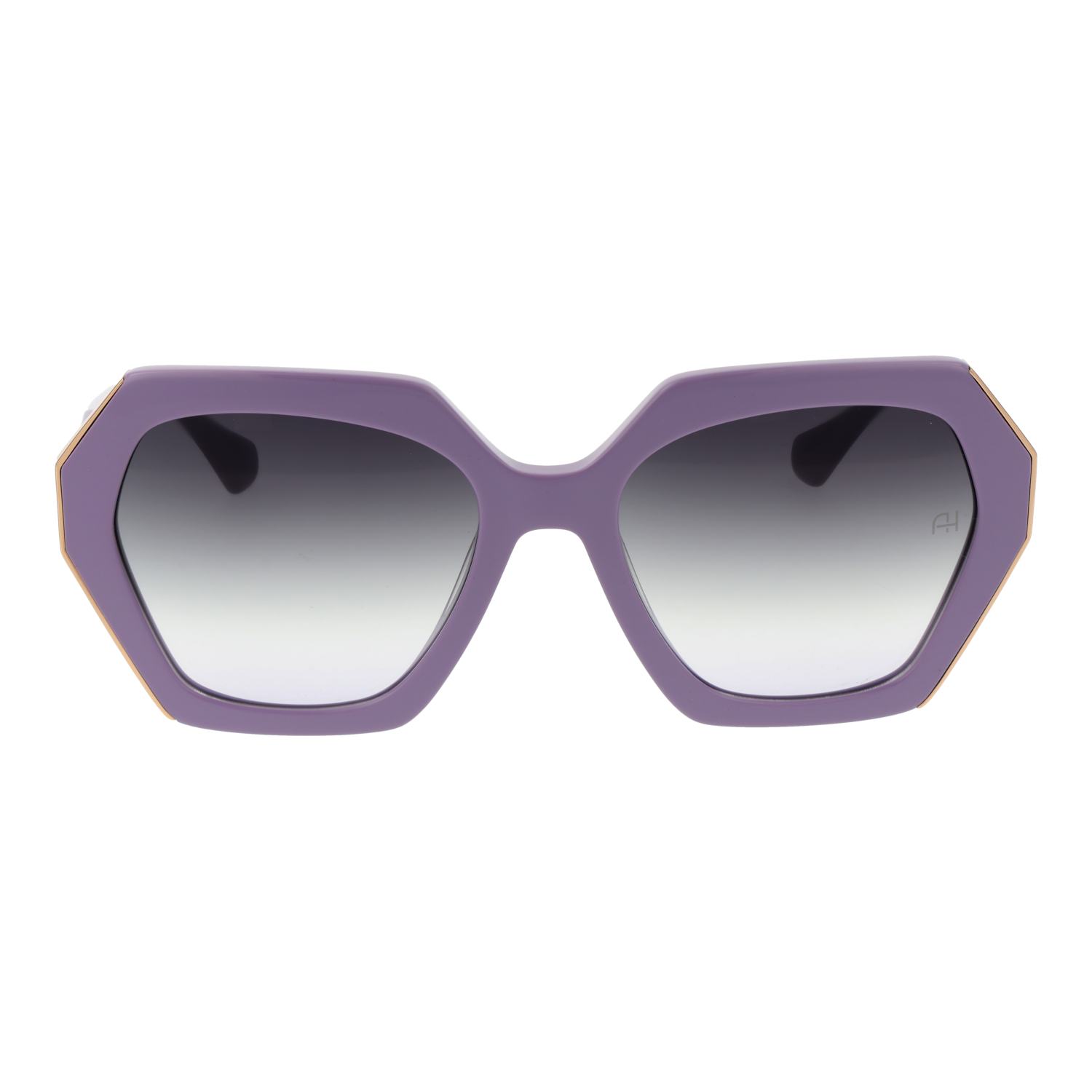 Ana Hickmann Sonnenbrille AH9463 D02 55