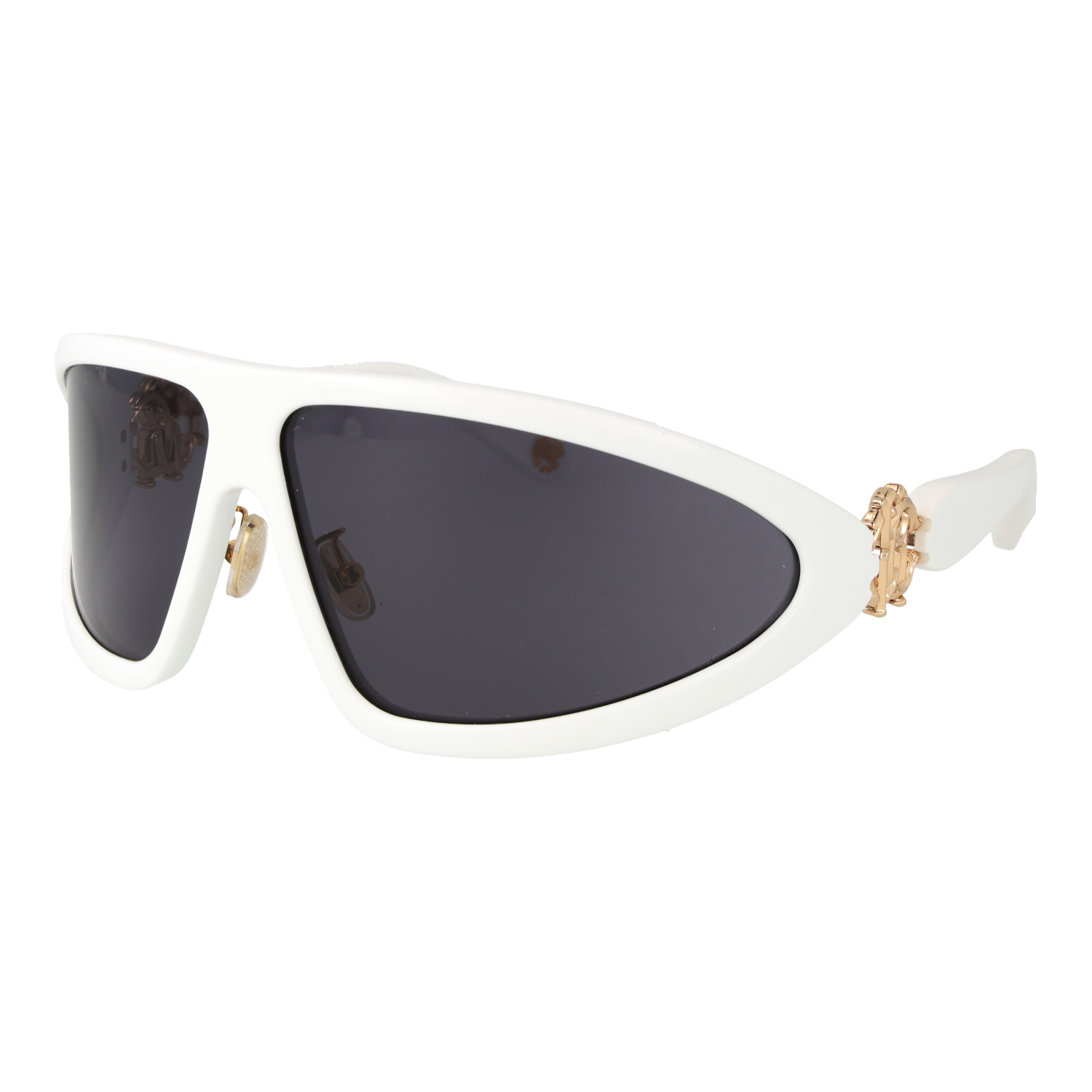 Roberto Cavalli Sonnenbrille SRC042 04AO 79