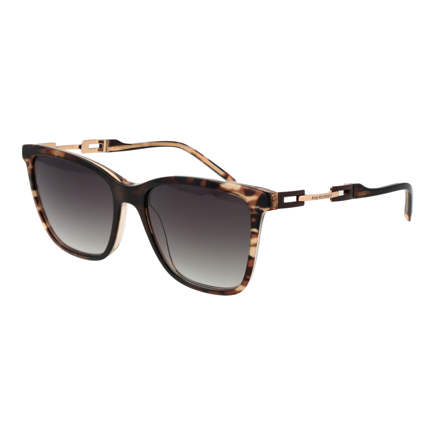 Ana Hickmann Sunglasses AH9348 C01 55