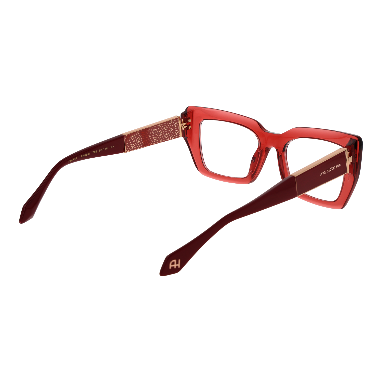 Ana Hickmann Optical Frame AH6541 T02 52