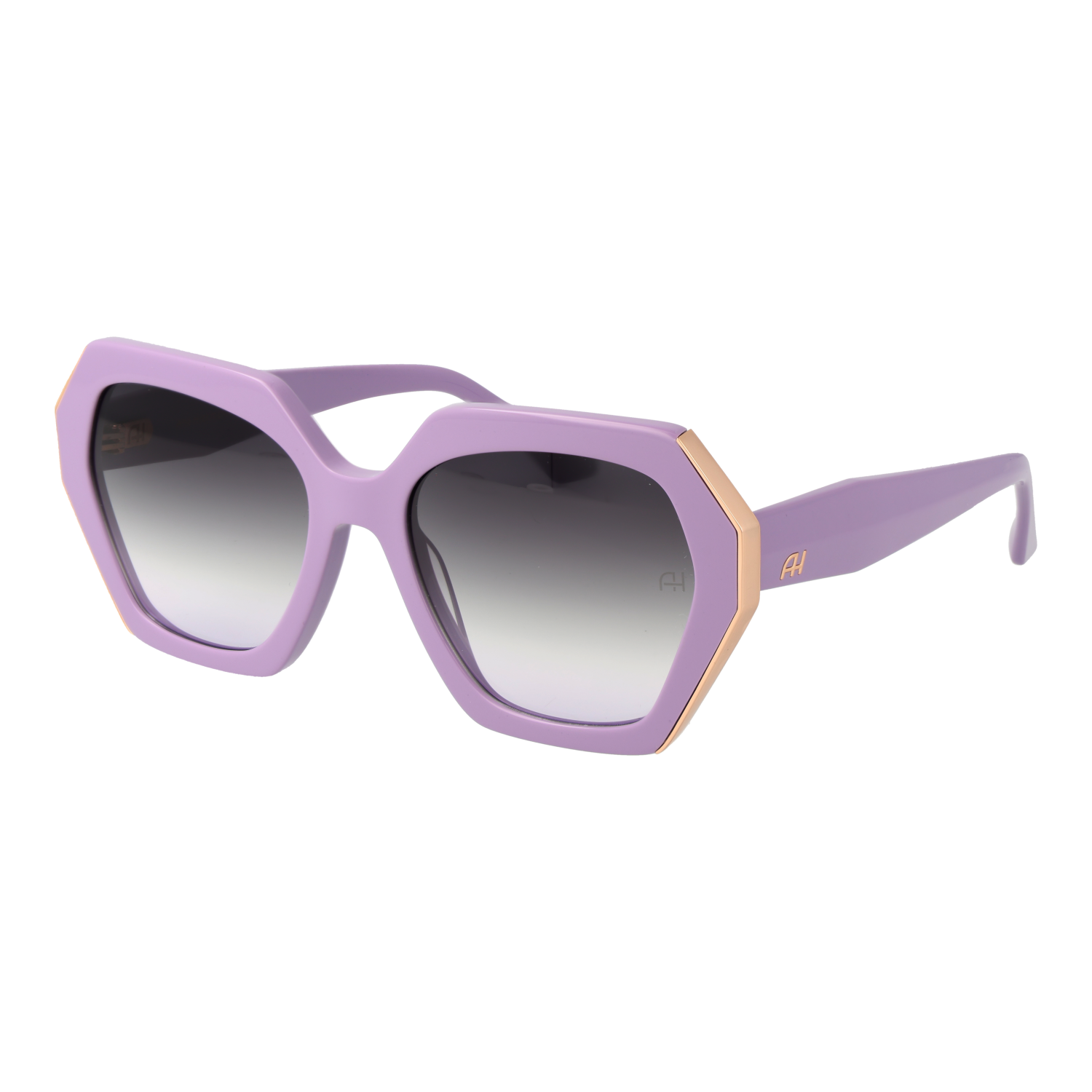 Ana Hickmann Sonnenbrille AH9463 D02 55