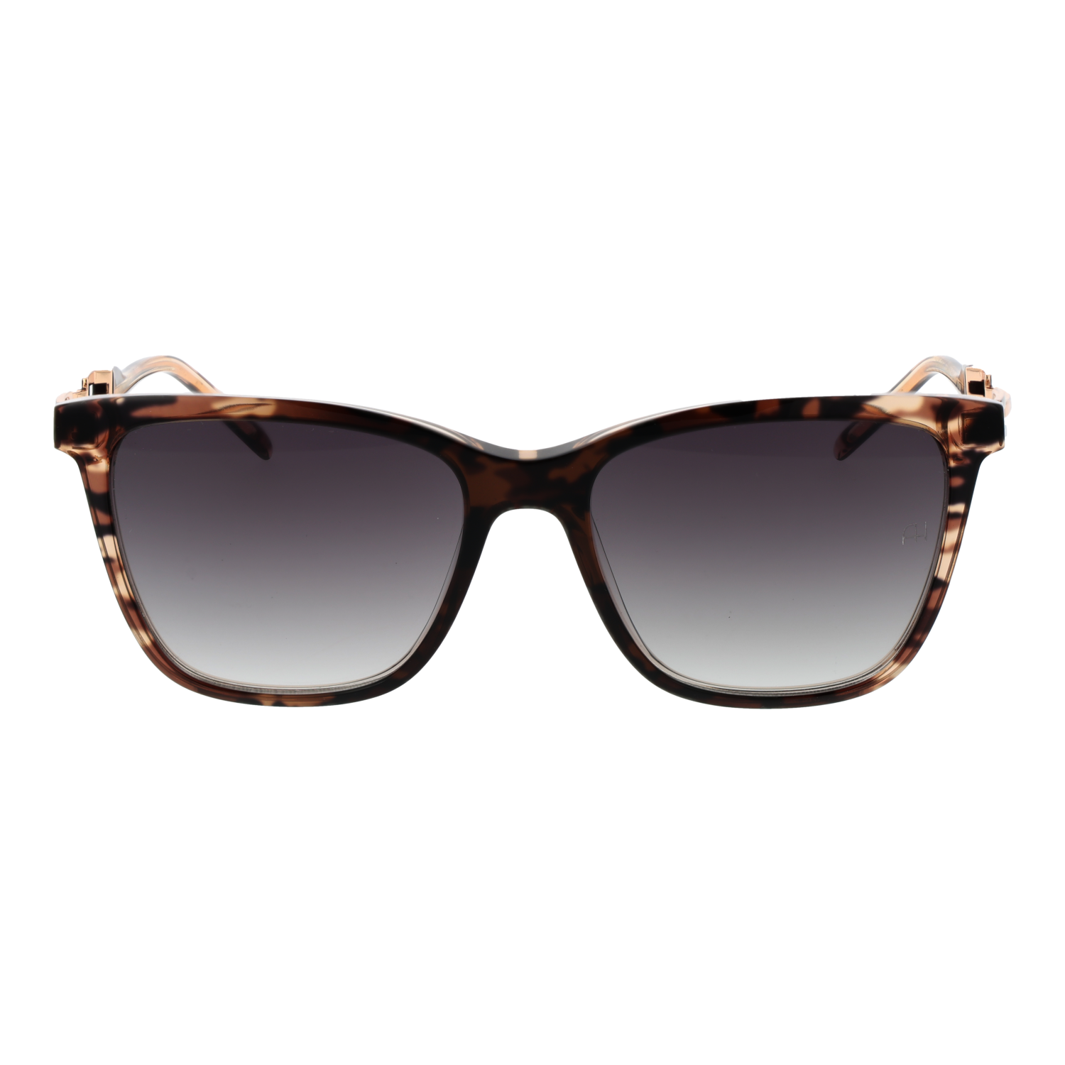 Ana Hickmann Sunglasses AH9348 C01 55