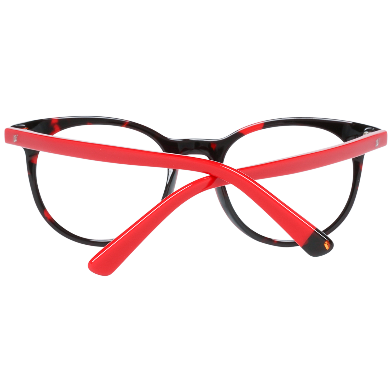 Web Brille WE5251 B56 49